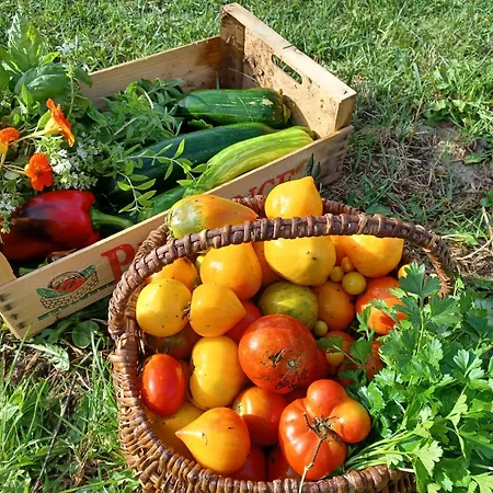 Dans Ferme Provencale Bed and breakfast