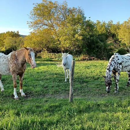 Dans Ferme Provencale