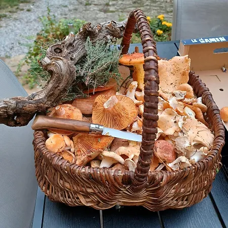 Dans Ferme Provencale