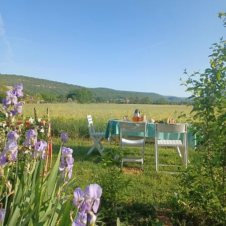 Dans Ferme Provencale Bed and breakfast 3*