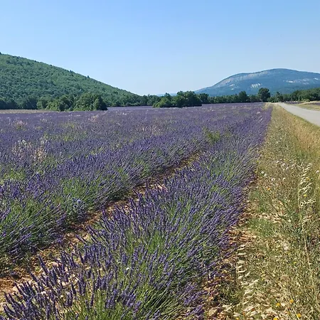 Dans Ferme Provencale Bed and breakfast Ongles