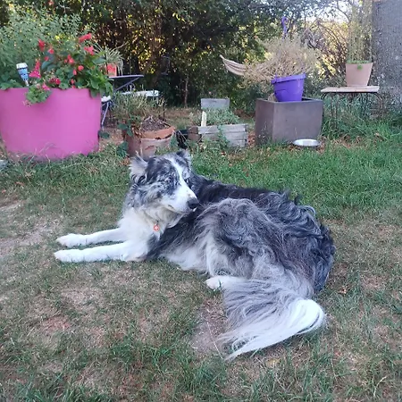 Bed and breakfast Dans Ferme Provencale *
