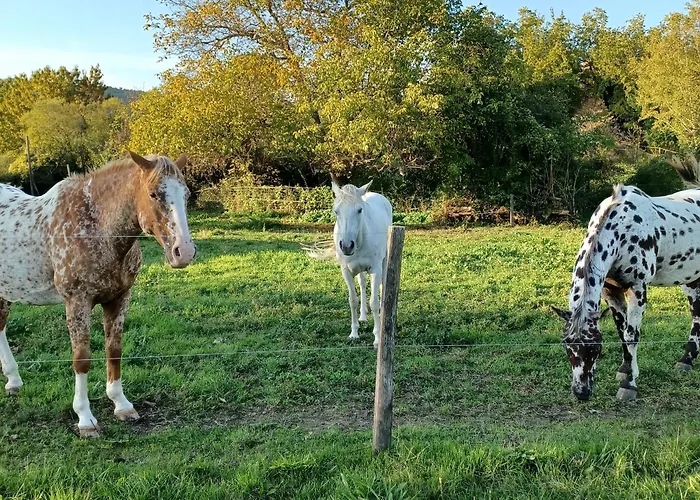 Dans Ferme Provencale