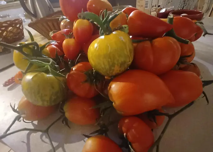 Nocleg ze śniadaniem Dans Ferme Provencale