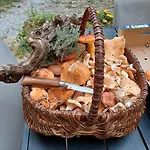 Dans Ferme Provençale