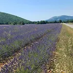 Dans Ferme Provençale Couette-café Ongles
