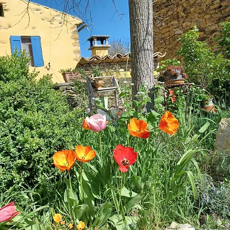 Dans Ferme Provencale *