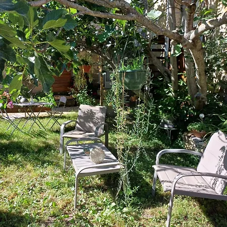 Dans Ferme Provencale