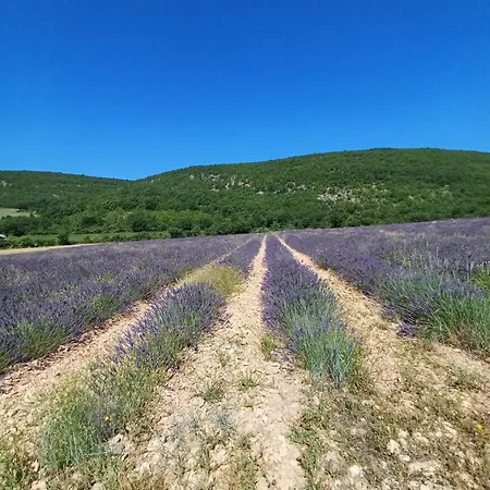Dans Ferme Provencale Bed and breakfast