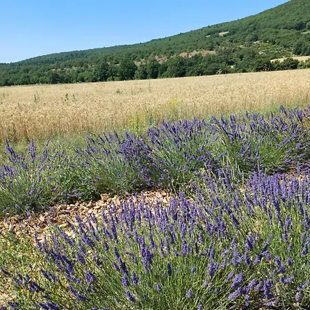 Dans Ferme Provencale 3* Ongles