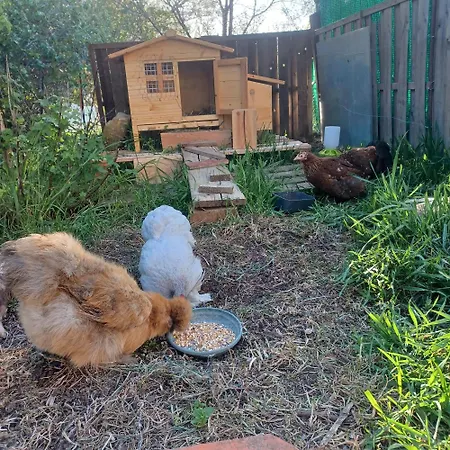 Dans Ferme Provencale