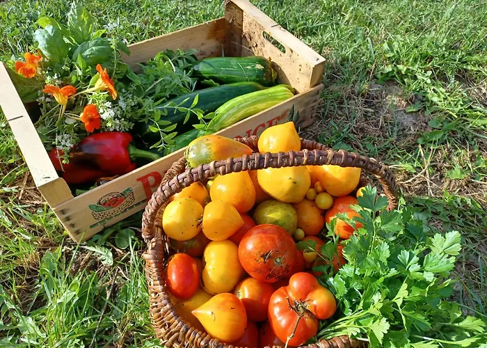 Dans Ferme Provencale Bed & Breakfast