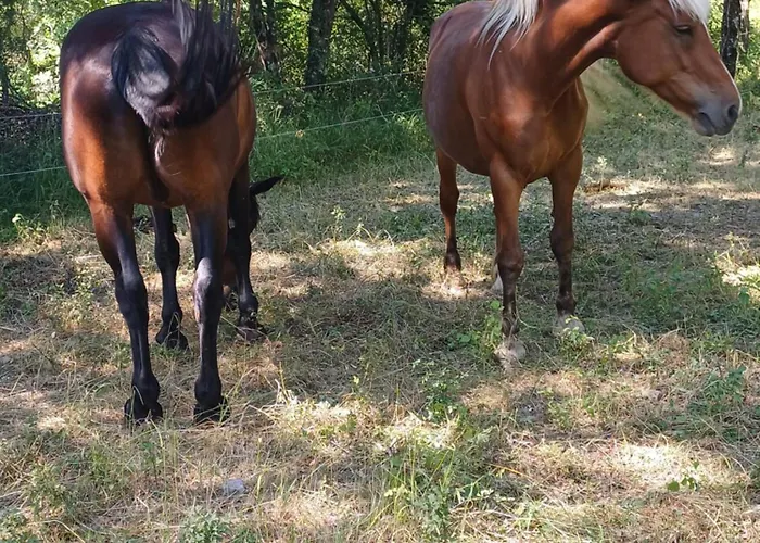 Dans Ferme Provencale 3* Ongles
