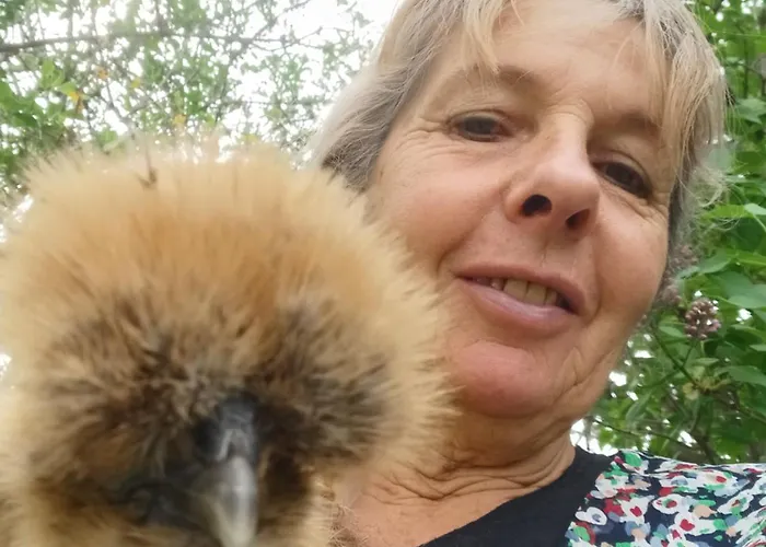 Dans Ferme Provencale Panzió