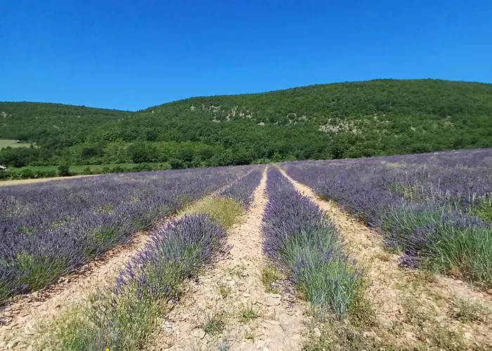 Dans Ferme Provencale Panzió