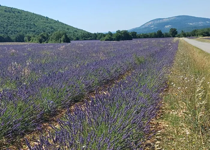 Dans Ferme Provencale Bed & Breakfast Ongles