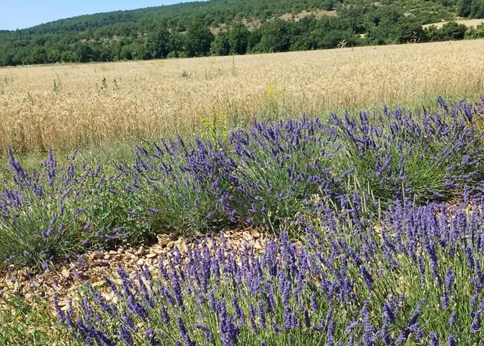 Dans Ferme Provencale 3* Ongles